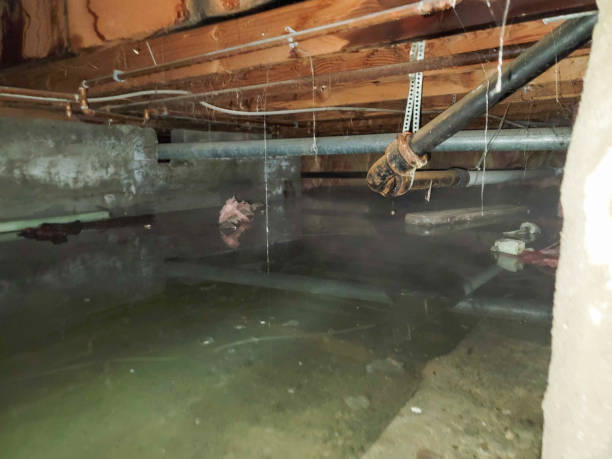 Best Water damage restoration company  in USA